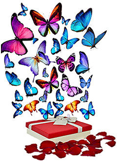 Салют "ЖЕЛАНИЕ" из 100  бабочек разных