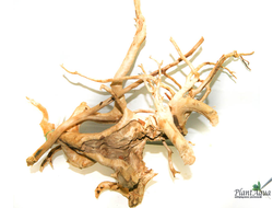 Коряга ПУСТЫННАЯ L (25-35 см)