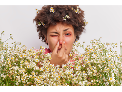 Гипоаллергенная программа