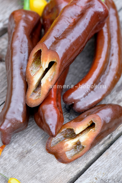 Перец сладкий Палермо Шоколадный, 10 шт