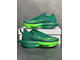 Nike Air Zoom X AlphaFly Green