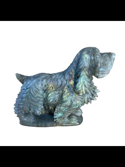 Спаниель из лабрадора