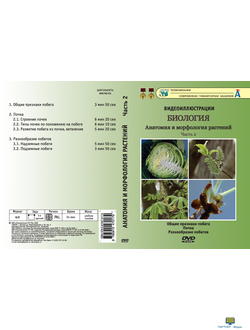 Часть 2. Общие признаки, разнообразие побегов. Почка  (6 сюжетов, 31 мин), Анатомия и морфология рас