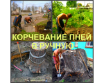 Расчистка участков и корчеванию пней в городе Воронеж и в Воронежской области