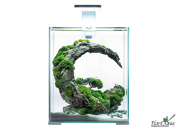 Аквариумы SHRIMP SET SMART LED DAY&NIGHT 30л, 29х29х35 см белый