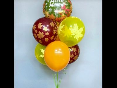 День знаний № 7