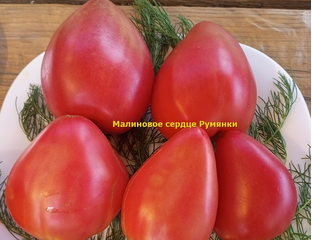 Томат Малиновое сердце Румянки (Malinowe Serce Rumianki) - Томатный мир