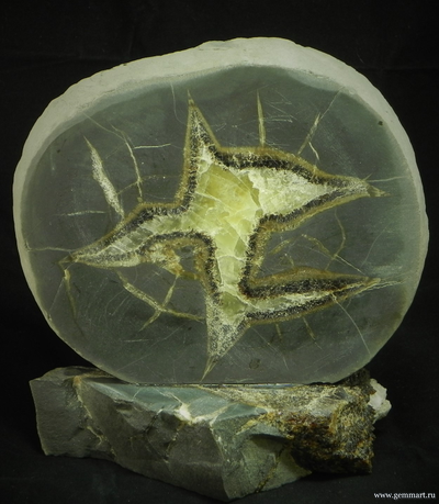 Септария - полированный спил