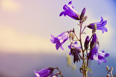 "Колокольчик 3Д" Силиконовый молд (вайнер)