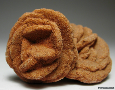 Барит - "роза".  Norma. Oklahoma. USA. 50*31*25мм