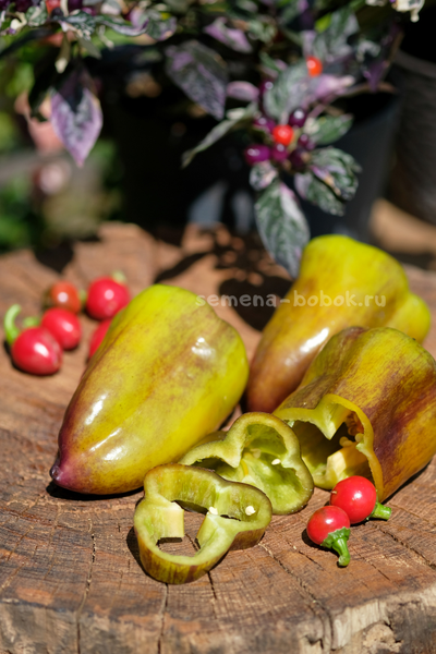 Перец сладкий Синильга, 10 шт