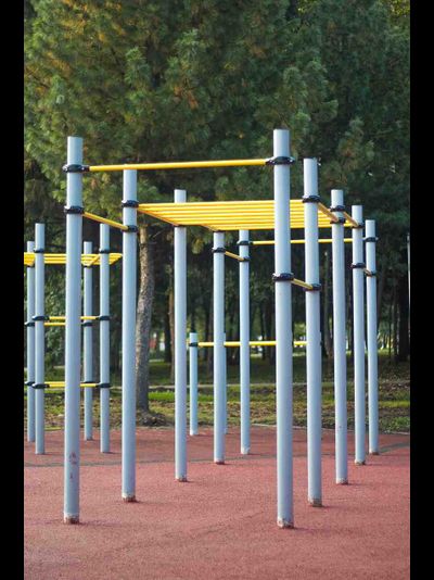 Спортивное оборудование с рукоходами Romana 501.17.01