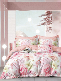 Постельное белье TANGO Twill сатин евро 200x220x1 230x250x1 50x70x2 70x70x2 TPIG6-1950