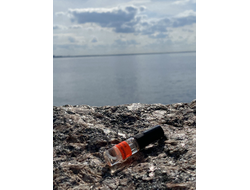 Духи НОТА: МУЖСКАЯ ПРИРОДА 3,5 мл