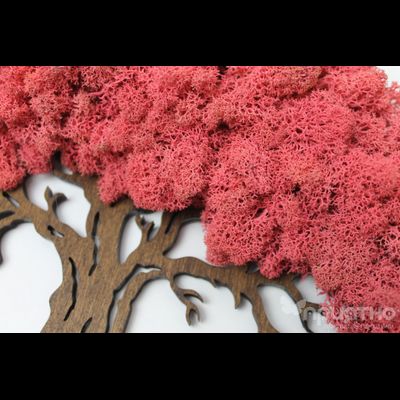 ЖИВАЯ ЭКО-КАРТИНА 1026