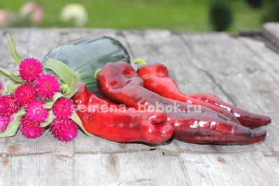 Перец сладкий Marconi Purple (Маркони фиолетовый), 10 шт.