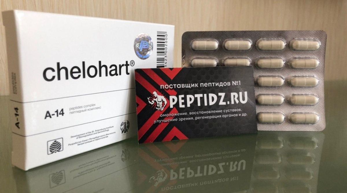 Пептиды Хавинсона, официальный сайт Peptides, дилерский центр