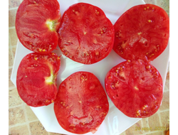 Томат Новое поколение Бурчема (Burcham's New Generation) США