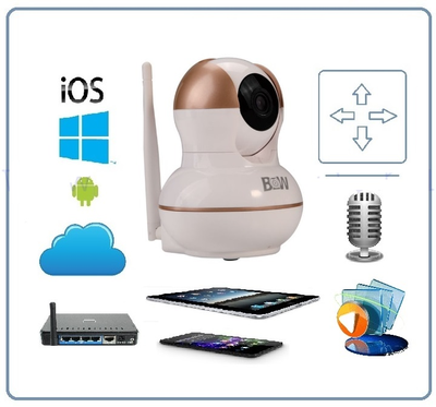 BW. Моторизированная видеокамера WiFi/LAN с DVR, HD (163Eye/Yoosee)