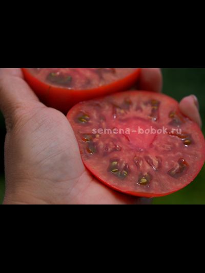 Томат Cowboy (Ковбой), 10 шт