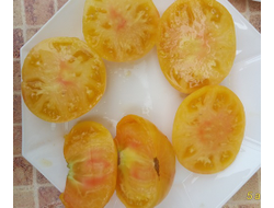 Томат Гном Розелла снежная, (Dwarf Rosella snow) США