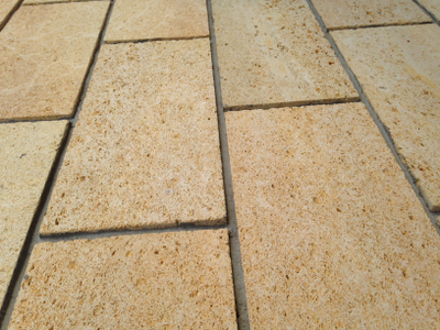 Ракушечник