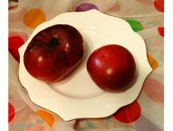 Семена томата Борония Гном/ *нов 2025