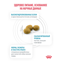 Royal Canin (Роял Канин) Hypoallergenic Small Dog сухой корм для собак мелких пород, 1 кг