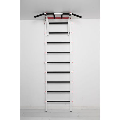 Шведская стенка Ferrum Force F1 купить в Воронеже