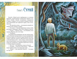 Вероника Медведева. Потаённый Лес. Фантастическая история.