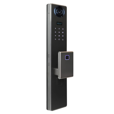 Электронный замок Smart lock DZ21Pro