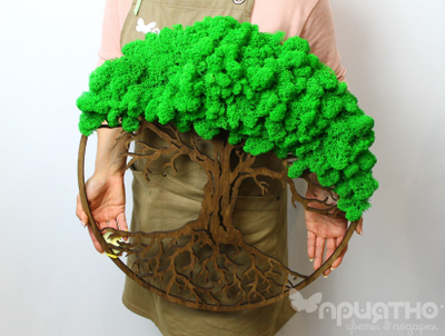 ЖИВАЯ ЭКО-КАРТИНА 1044