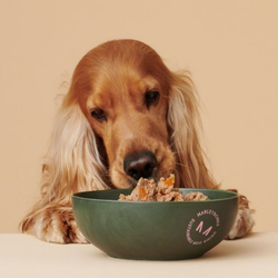 Влажные корма