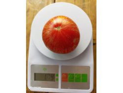 Томат Озарк закат (Ozark sunset), Германия