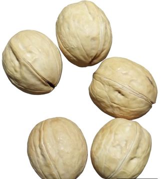 Грецкий орех, размер 4 см - 5 см, цена за 1 шт