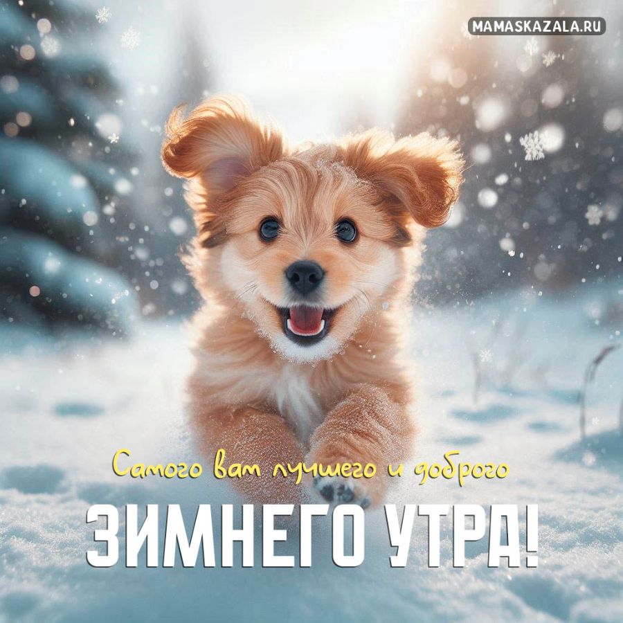 Зимняя открытка с собачкой