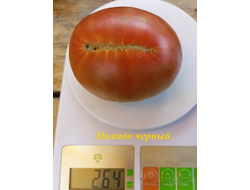 Томат Микадо черный