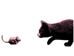 Черный кот с мышкой - Коллекционная ФИГУРКА 1/6 scale Felis catus 2.0 (JXK062B) - JXK