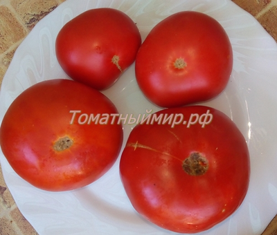 Томат Сладкая Скарлет (Сладкий Алый гном, Dwarf Sweet Scarlet), США