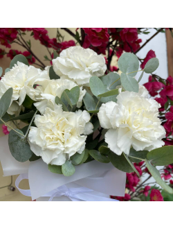 БОКС С ДИАНТУСАМИ И ЭВКАЛИПТОМ