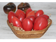 Продолговатый кустанайский