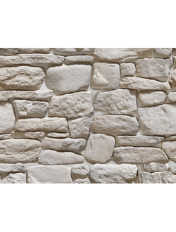 Дикие камни Камелот