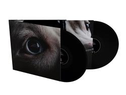 Roger Waters - Dark Side Of The Moon Redux 2-LP