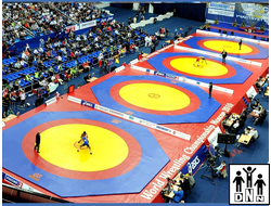 Помост для 4х борцовских ковров OLIMPIADA 22х64х1м DNN