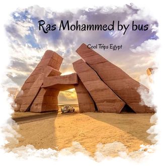 Ras Mohammed by bus for half day from Sharm El Sheikh