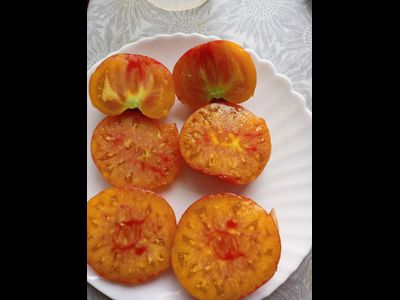 Томат Олимпийский огонь