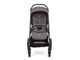 Прогулочная коляска Joie Chrome DLX 2 в 1 Travel System