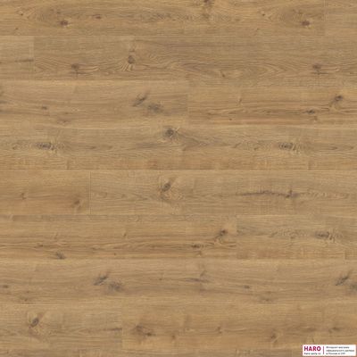 Декор ламината Haro Tritty 100 Gran Via Дуб Портлэнд Натур 533141 фронт