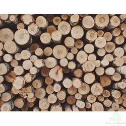 Баланс березовый ГОСТ 9462-88