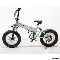 Электровелосипед GreenCamel Форвард 2X (R20FAT 500W 48V10Ah) 7скор, 2х-подвес белый